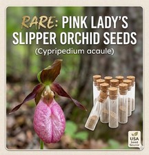 Stunning Pink Lady’s Slipper Orchid seeds ~ Moccasin Flower *10 Seeds picture