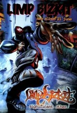 LIMP BIZKIT POSTER Significant Other RARE HOT 24X36 - PRINT IMAGE PHOTO picture