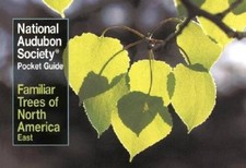 Familiar Trees of North America : East - Paperback - VERY GOOD picture