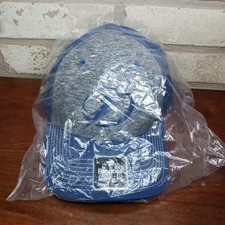 Fanatics Tampa Bay Lightning Fitted L-XL Hat Cap Mens Strech Fit Gray & Blue NHL picture
