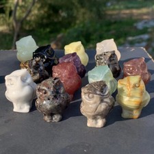 50pc Natural Mix Quartz Carved owlSkull Crystal Reiki Healing Gem Halloween Gift picture