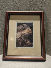 Framed Eagle Signed and Matted Picture 12