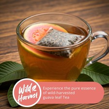 75 Guava Tea Bags, Pure Guava Leaves Tea, Te De Hojas de Guayaba, Herbal Tea picture