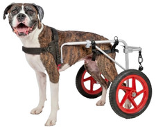 Best Friend Mobility Large Dog Rear‑Support Wheelchair for Back‑Leg Weakness picture
