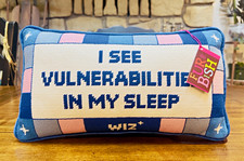 Furbish Decorative Pillow Needlepoint Embroidered Wiz Sentiment Blue Pink NWT picture