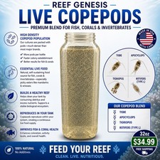 32oz LIVE Copepods | Tisbe, Apocyclops ,Tigriopus, Rotifers |  picture
