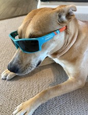 Miami Dolphins Polarized Edge Wrap Sunglasses NFL Football  picture