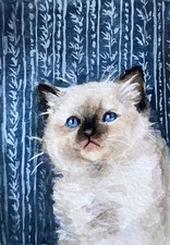 ACEO Original Mixed Media Painting Art Cat Kitten picture