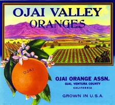 Ojai Ventura County Ojai Valley Orange Citrus Fruit Crate Label Art Print picture