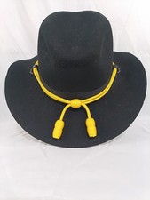 Vintage Official Golden Gate Hat Co Felt US Army Cavalry Hat with case picture