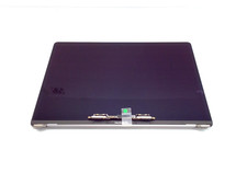 Apple LCD Screen Assembly for 15