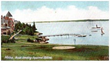 Vintage Postcard 1901-1907 Boat Landing at Squirrel Island, Maine (ME) picture