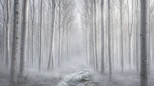 Digital Image Picture Photo Wallpaper Background Desktop AI Art Sample Product picture