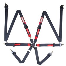 Racequip 856006RQP FIA 8853-2016 2