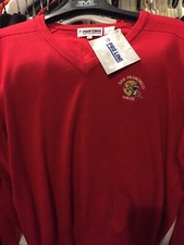 Rare 90’s Pro Line Vintage San Francisco 49ers NFL Football V Neck Sweater XL picture