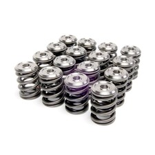 Skunk2 Alpha Series Dual Valve Spring & Retainer Kit Fits Honda Acura B16 B18C picture