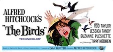 THE BIRDS (1963) HUGE 27