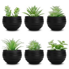Der Rose 6 Pack Fake Succulents Plants in Black Pots 3.14