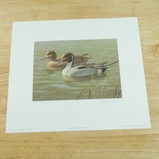 1987 First of State Arizona Duck Stamp Print Only original folio Daniel Smith picture
