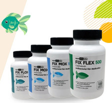 For Aquarium use Certified fish AQUA Amoxicillin 500 100 ships Today US Labs picture