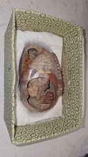 Antique Hand Carved Chinese Fortune Turtle Rare Unique  picture