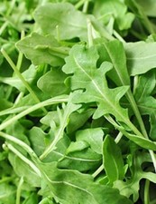 500+ Organic Roquette Arugula Seeds Salad Rocket Garden Rocket Salad green USA picture