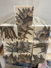 2 Pc Set . Premium  Ambrosia Maple  turning pc 3x3x12