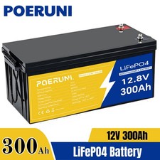 Deep Cycle 12V 300Ah LiFePO4 Lithium Battery with BMS for Boat Off-grid RV Solar picture