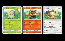 Pokemon S-Chinese Chikorita Litten Meowth SM-P031-033 PROMO Cards Set of 3 NM picture