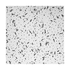 ARMSTRONG 704A Ceiling Tile,24 in L,24 in W,PK16 5NGJ8 picture