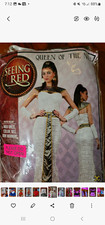 Queen of the Nil Costume Complete Outfit Size S Belt Cleopatra Halloween New picture