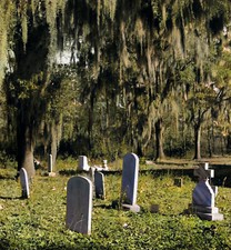 1938 Church graveyard near Summerville, South Carolina. 14 x 11