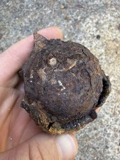 1715 Treasure Fleet Shipwreck Recovered Spanish Galleon Cannonball picture