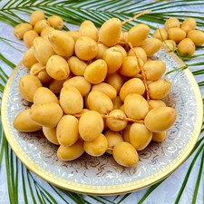 7 LBS FRESH YELLOW BARHI DATES picture