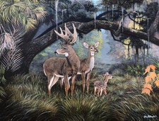 Original Oil Painting Spotted Deer Fawn Wildlife Forest Animal Art 4x6 Framed picture