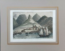 Chile Claudio Gay1854 Lithography isla de Juan Fernandes picture