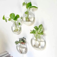 2/4/6 Pack Wall Hanging Glass Terrarium - Self-Watering Hydroponic Planter for H picture