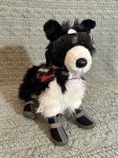 ESSA Chase Border Collie Dog Emotional Support Douglas Dog With Gear picture