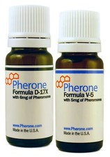 Pherone  Pheromones Special Bundle B-175 for Men to Attract Women  picture