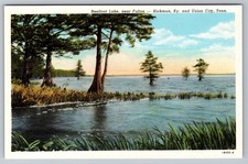 F 268, Reelfoot Lake, near Fulton-Hickman, Ky., & Union City Tenn. picture