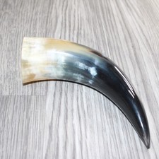 1 Small Polished Cow Horn #469 Natural Colored picture