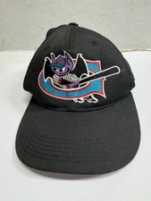 Vintage Greensboro Bats MILB SnapBack Hat With Mascot Signature picture