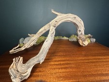 XL 27” Manzanita Driftwood Branch, Aquarium, Terrarium, Aquascape ,Home Decor picture
