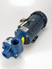 LEESON 116616.00 A6C34XK2B Explosion Proof Motor 2HP Finish Thompson GP11 Pump picture