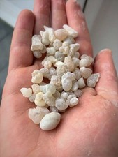 Royal Green Hojari - Boswellia Sacra - Incense Resin from Oman picture