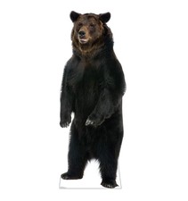 Cardboard People Brown Bear Life Size Cardboard Cutout Standup picture