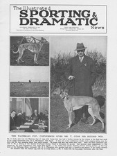 COURSING Mr T Cook & 'Conversion' Winner of the Waterloo Cup Vintage Print 1931 picture