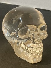 Translucent Human Clear Resin Skull, Summito 2011 Oddities, Gothic Decor picture