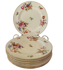 8 Antique Hutschenreuther Selb Bavaria 10