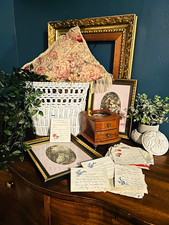 Darling Vintage Lot picture